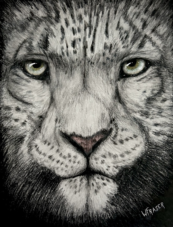 Leopard by Wanda Fraser