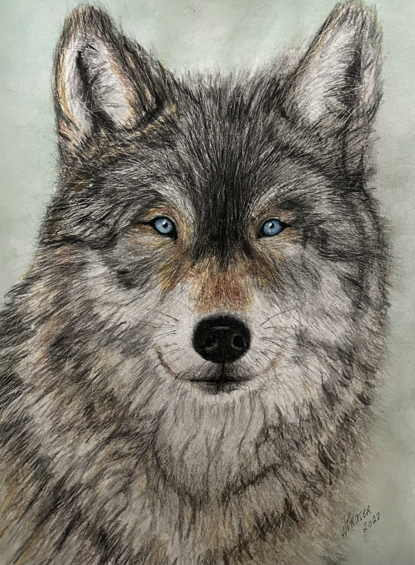 Wolf by Wanda Fraser