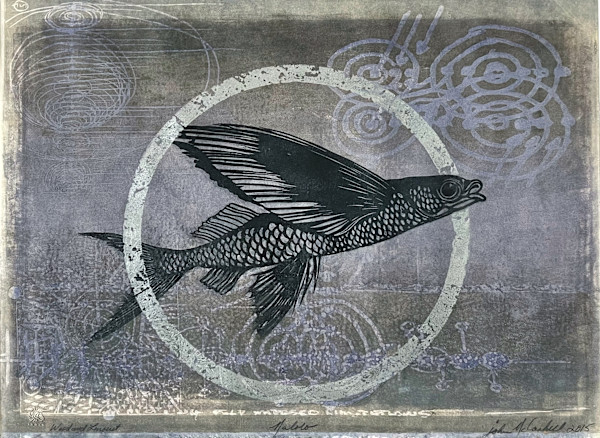 Malolo: Flight of the Sea by John McCaskill