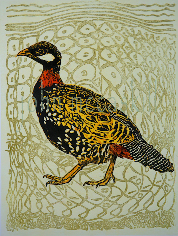 "Francolin" by John McCaskill