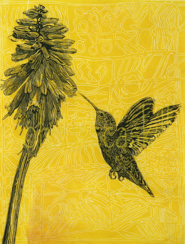 "Sweet Nectar" by John McCaskill