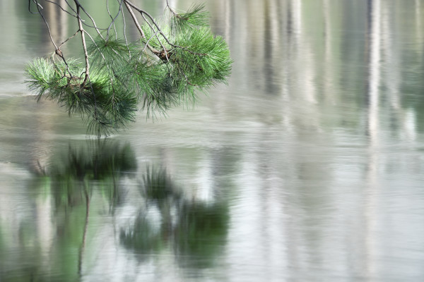 Dipping #2 by Kent Burkhardsmeier