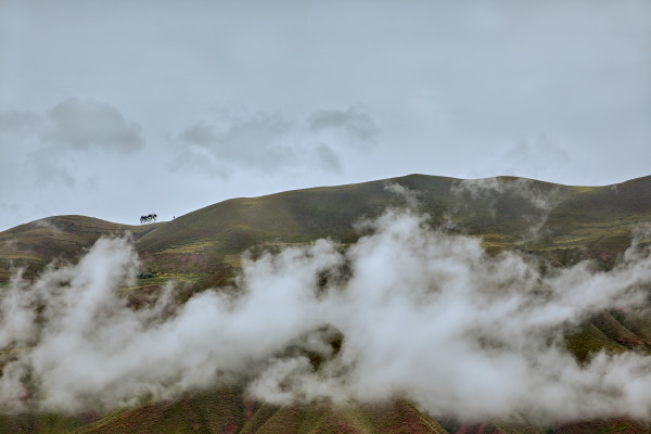 Rising Niebla #1 of 10 by Kent Burkhardsmeier