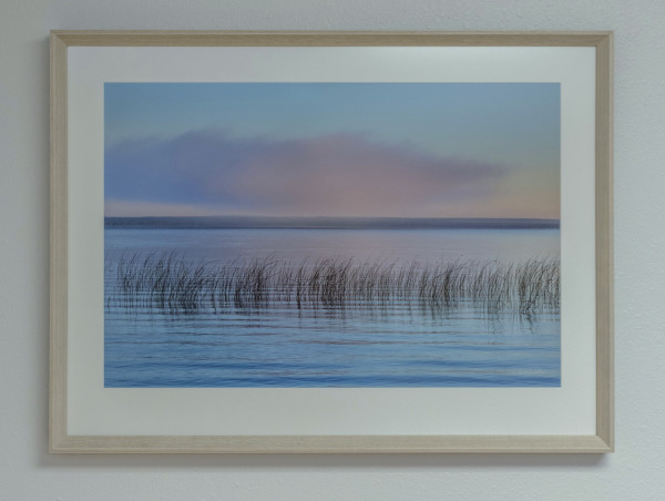 Blush #1 by Kent Burkhardsmeier