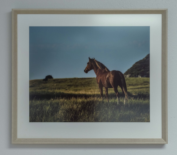 Free #1 by Kent Burkhardsmeier