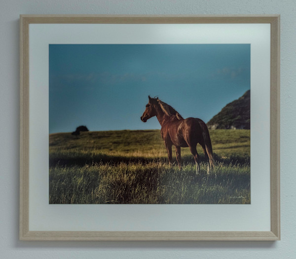 Free #1 by Kent Burkhardsmeier, Image 4.