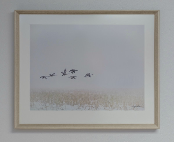 Snowbirds #1 by Kent Burkhardsmeier