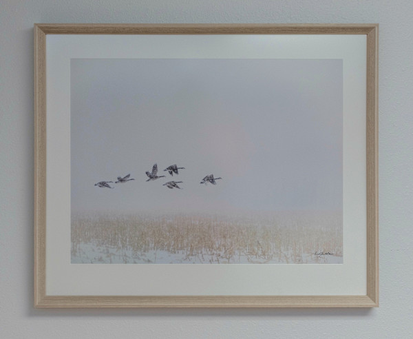 Snowbirds #1 by Kent Burkhardsmeier, Image 3.