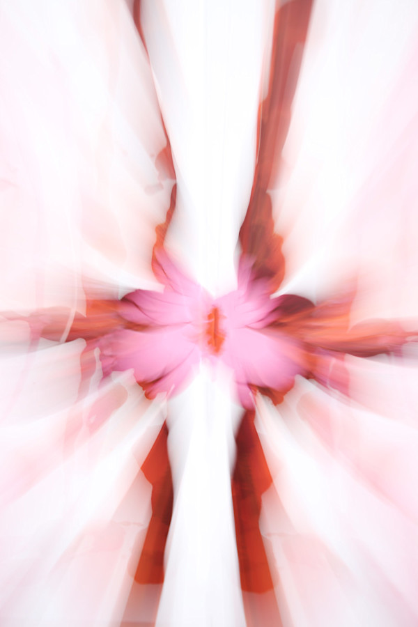 Fluid no.1, Image 1.