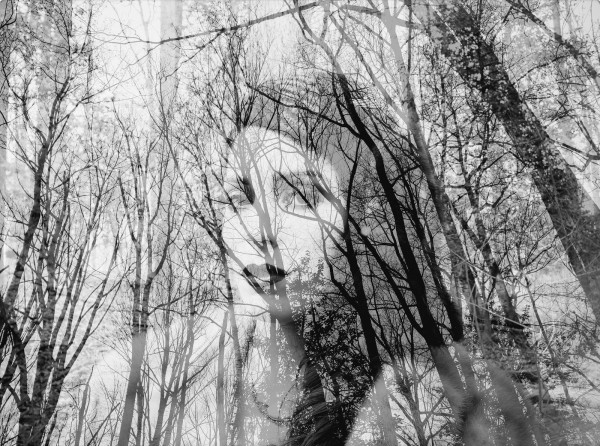 Jessica, Image 1.