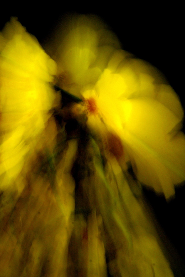 Gold angel, Image 1.