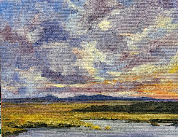 Far Away by Sue Dion