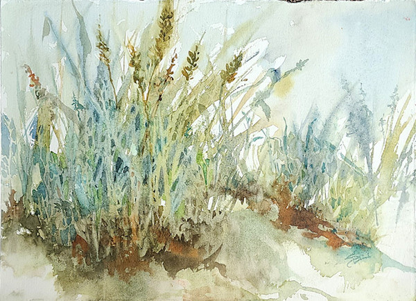 Beach Grasses by Sue Dion