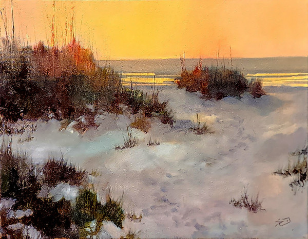 Gilded Shore by Sue Dion