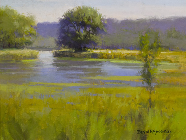 Backwater Serenity by David R. Anderson