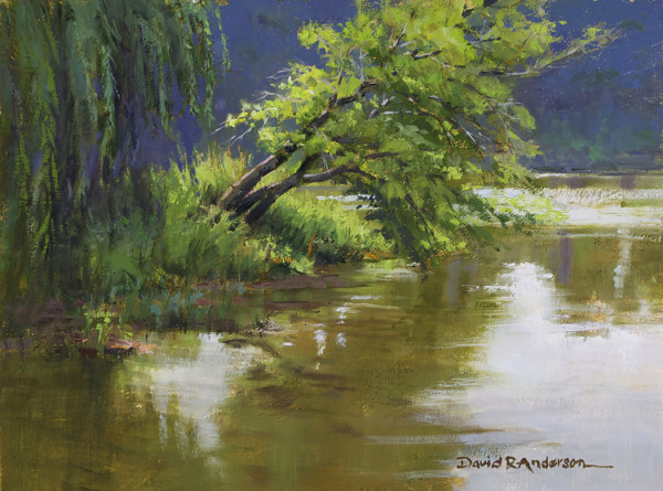 Bowing to River Flow by David R. Anderson