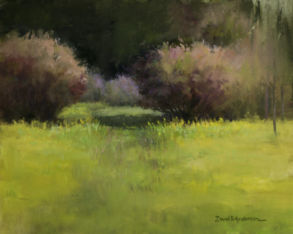 Fall Meadow by David R. Anderson