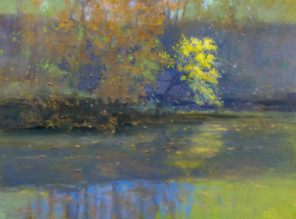 Falling Leaves by David R. Anderson