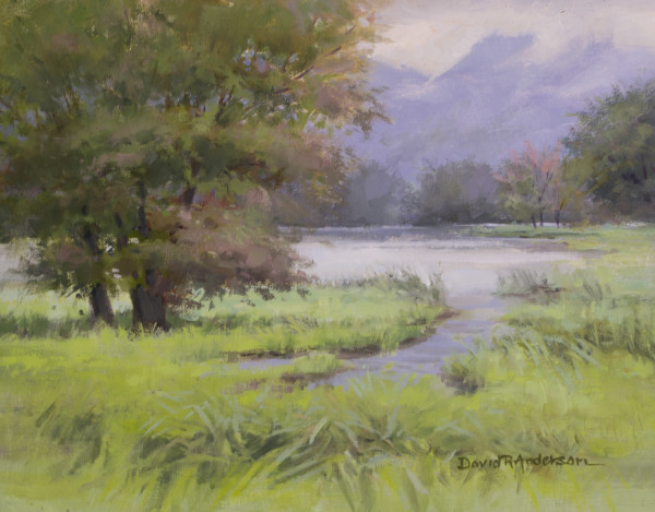 Goose Island by David R. Anderson