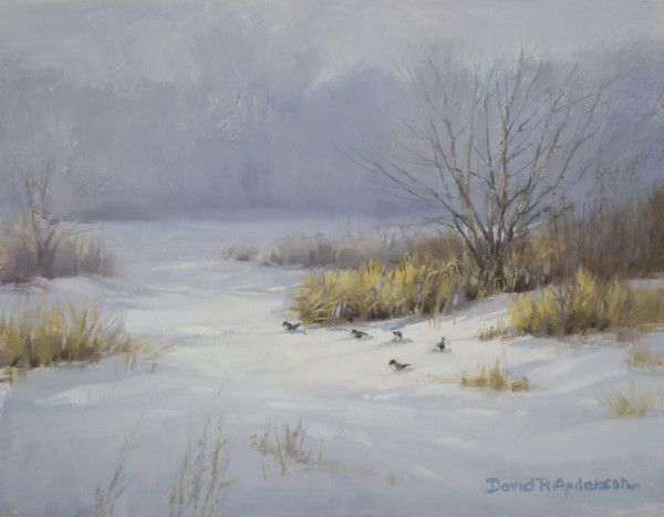 Snow Birds by David R. Anderson
