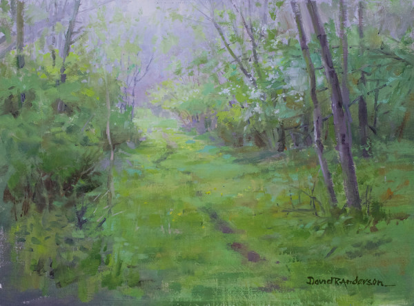 Spring Path by David R. Anderson