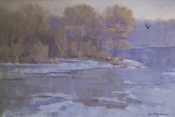 Winter Flight by David R. Anderson