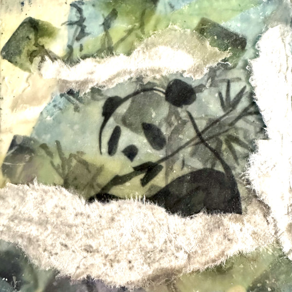 Panda by Catherine  Mansell