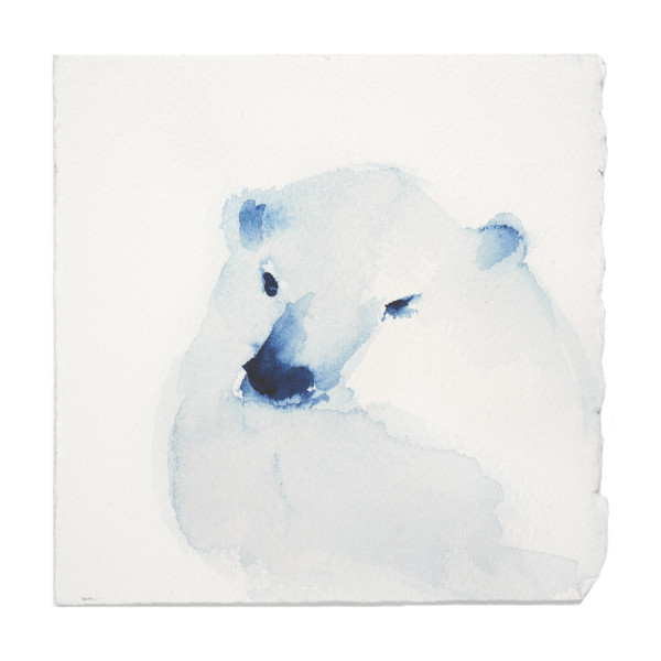 Animal Indigo Study - Bear 42 by Vega Davis