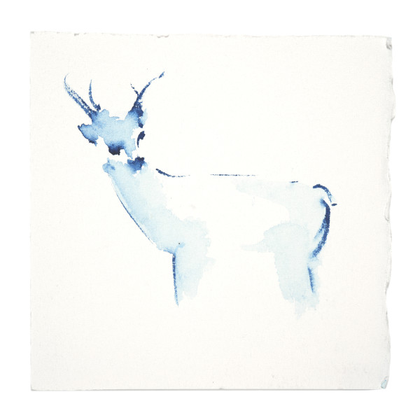 Animal Indigo Study - Deer 2 by Vega Davis