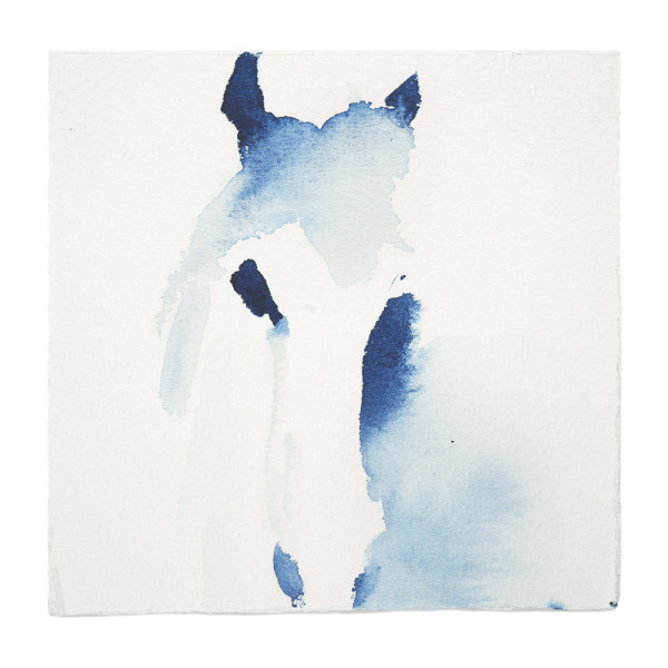 Animal Indigo Study - Horse 1 by Vega Davis