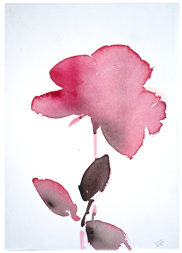Botanical Study · Rose 1 by Veronique Gambier