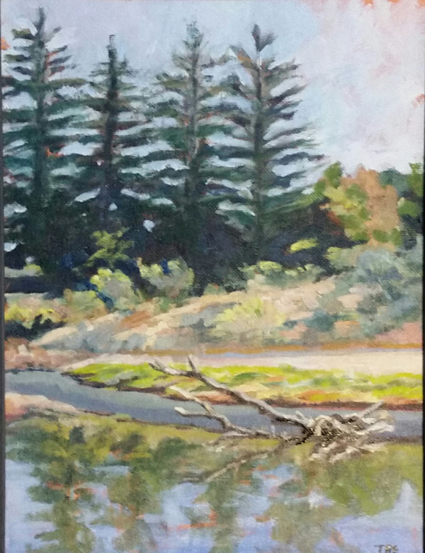 Napa Valley Waterway by Terri Beck-Engel