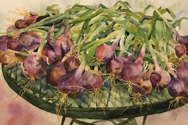 Red Onion Harvest by Elizabeth Sawyer Kelly