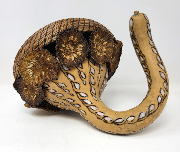 Gourd II by Roberta Condon