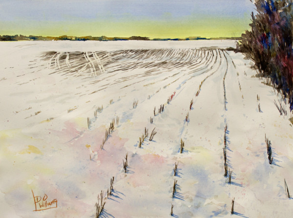 Winter Corn by David O Williams