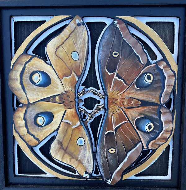 Polyphemus Moth by Laura Annis