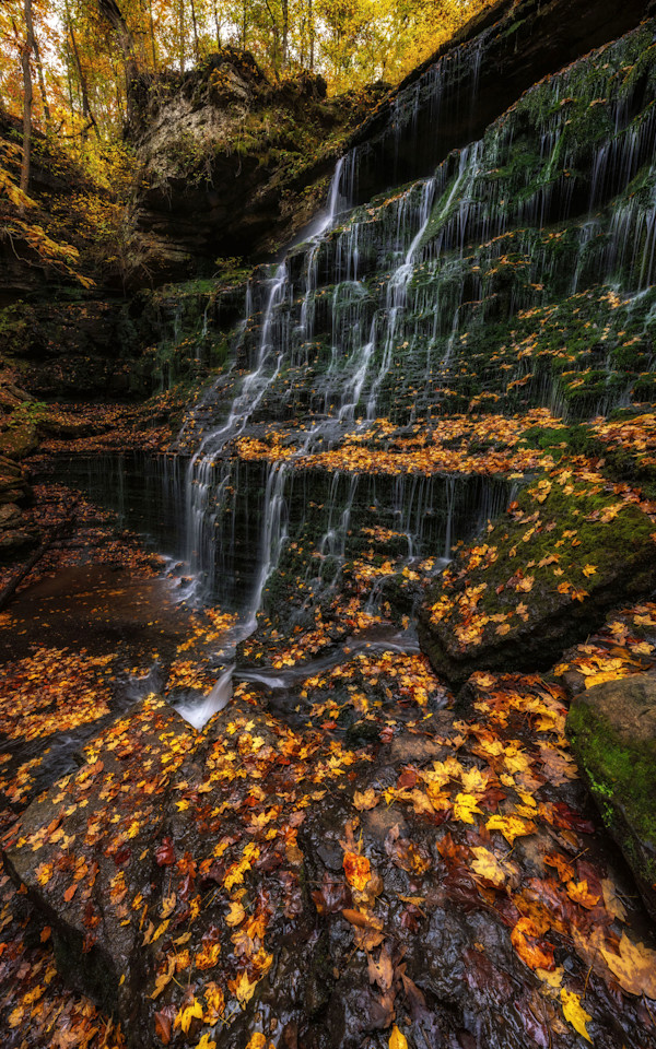 Autumn Falls by Mike Murray