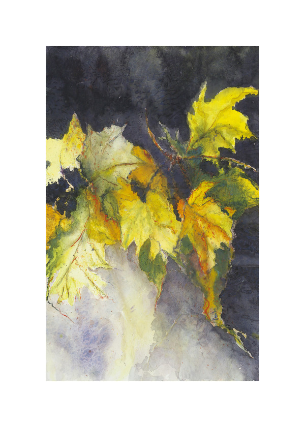 Autumn Leaves (Unframed print) by Roberta Condon
