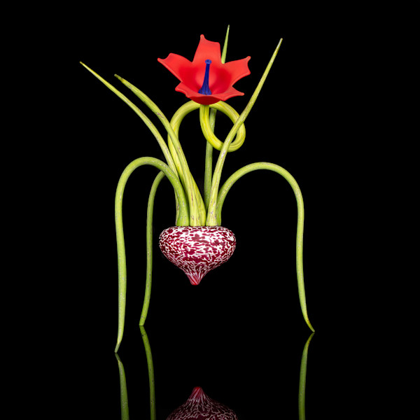 Beet Feet by Nolan Prohaska