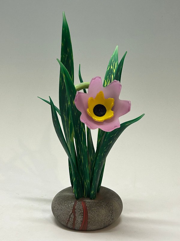 Black Eyed Susan by Nolan Prohaska