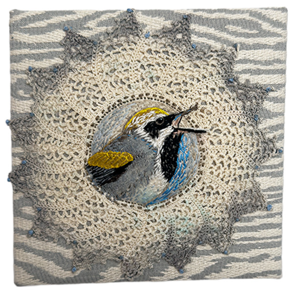 Bird Profile: Golden-winged Warbler by Cynthia Quinn, Image 1.