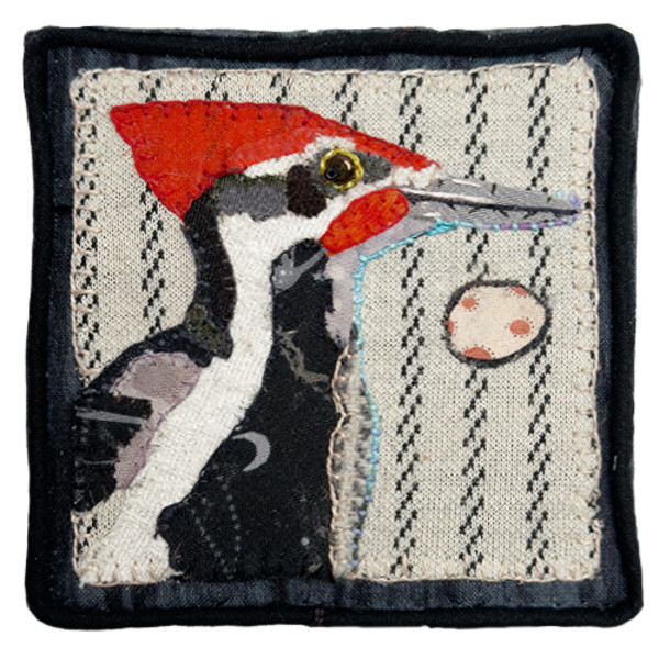 Bird Profile: Pileated Woodpecker by Cynthia Quinn, Image 1.