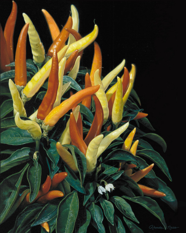 Cascading Ornamental Peppers (Unframed print) by Rhonda Nass