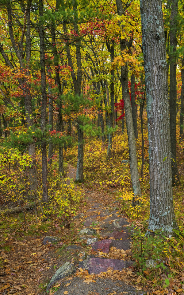 Devil's Lake Fall Path by Mike Murray