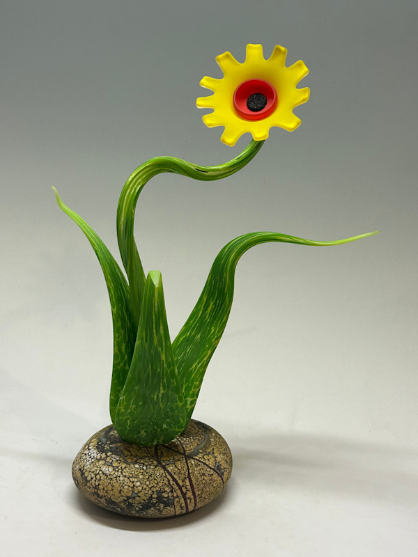 Dancing Sunflower by Nolan Prohaska