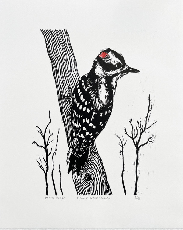 Downy Woodpecker by Derek Hibbs