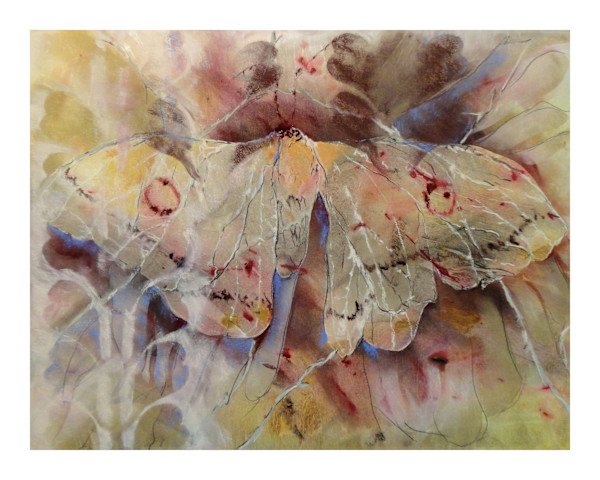 Emperor (Giclee Print) 2306277 by Roberta Condon