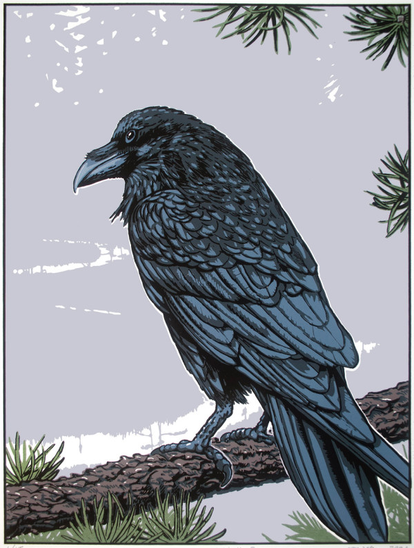 Gaagaagi, the Raven (Framed) by John Miller