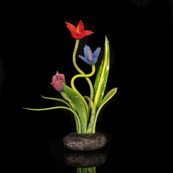 Garden Group I by Nolan Prohaska