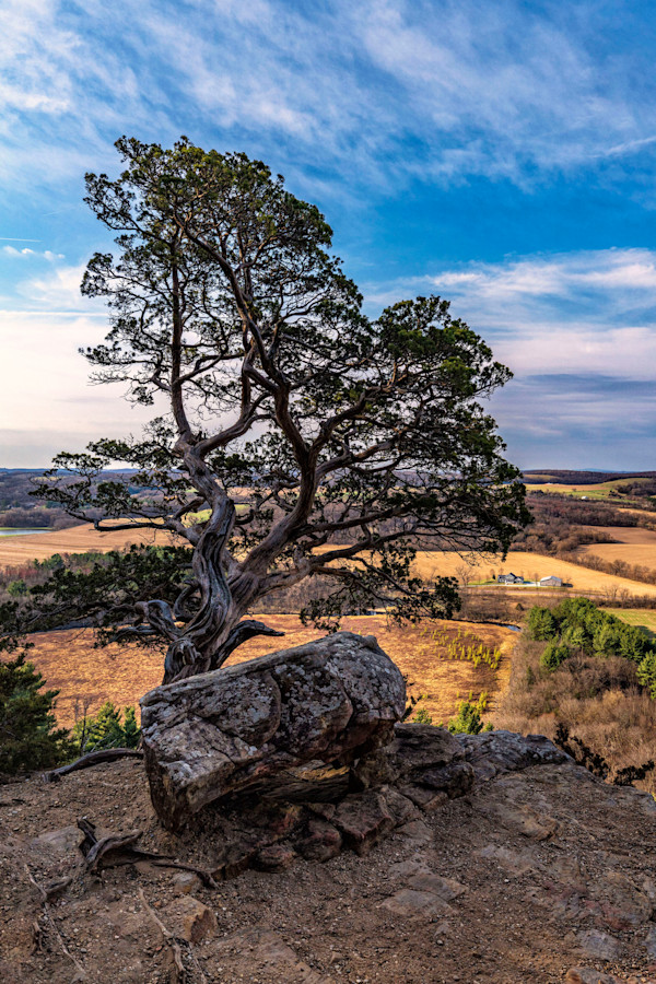 Gibralter Rock by Mike Murray